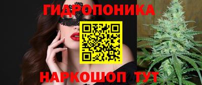 твердый Партизанск