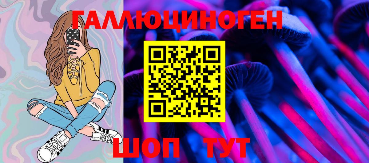 Галлюциногенные грибы Psilocybe Сызрань