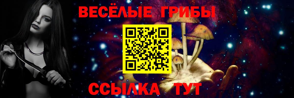 купить наркотик  Галлюциногенные грибы мухоморы  Сызрань  Вход с VPN  Псилоцибиновые грибы MAGIC MUSHROOMS 